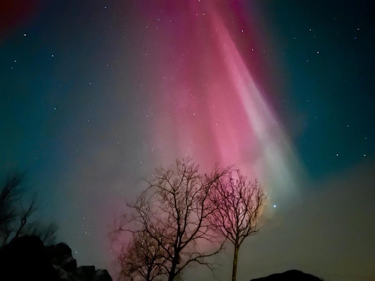 Lofoten Glampingdome Myrland Esterno foto