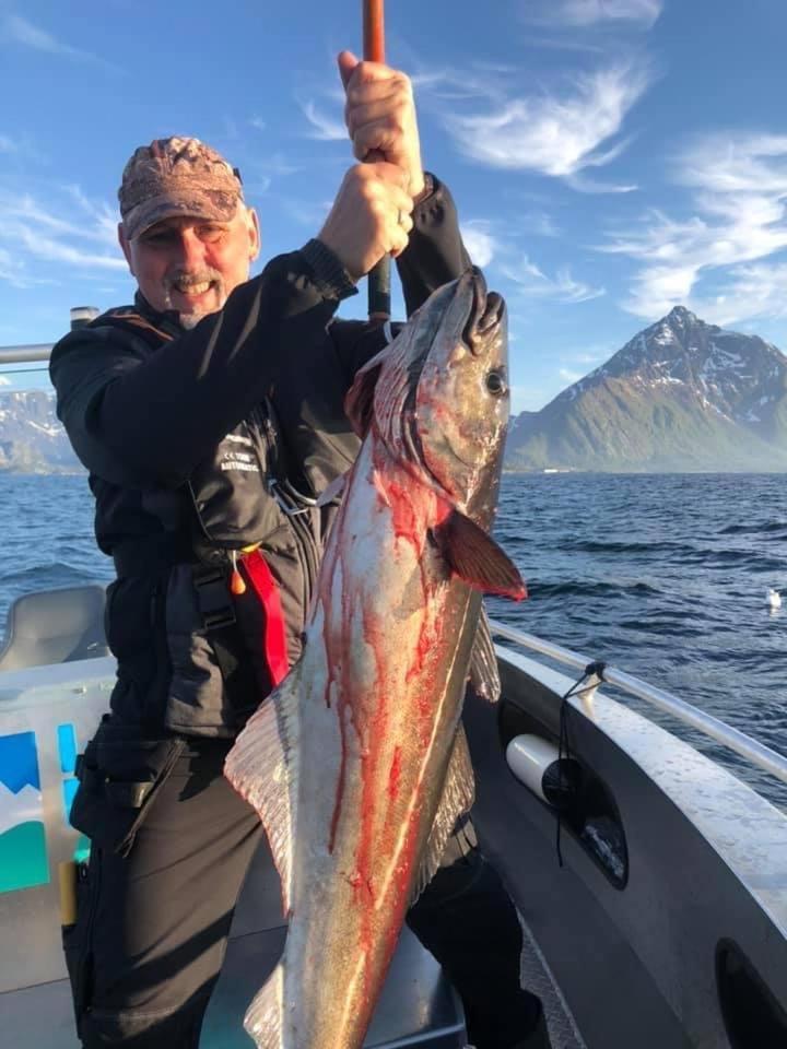 Lofoten Glampingdome Myrland Esterno foto