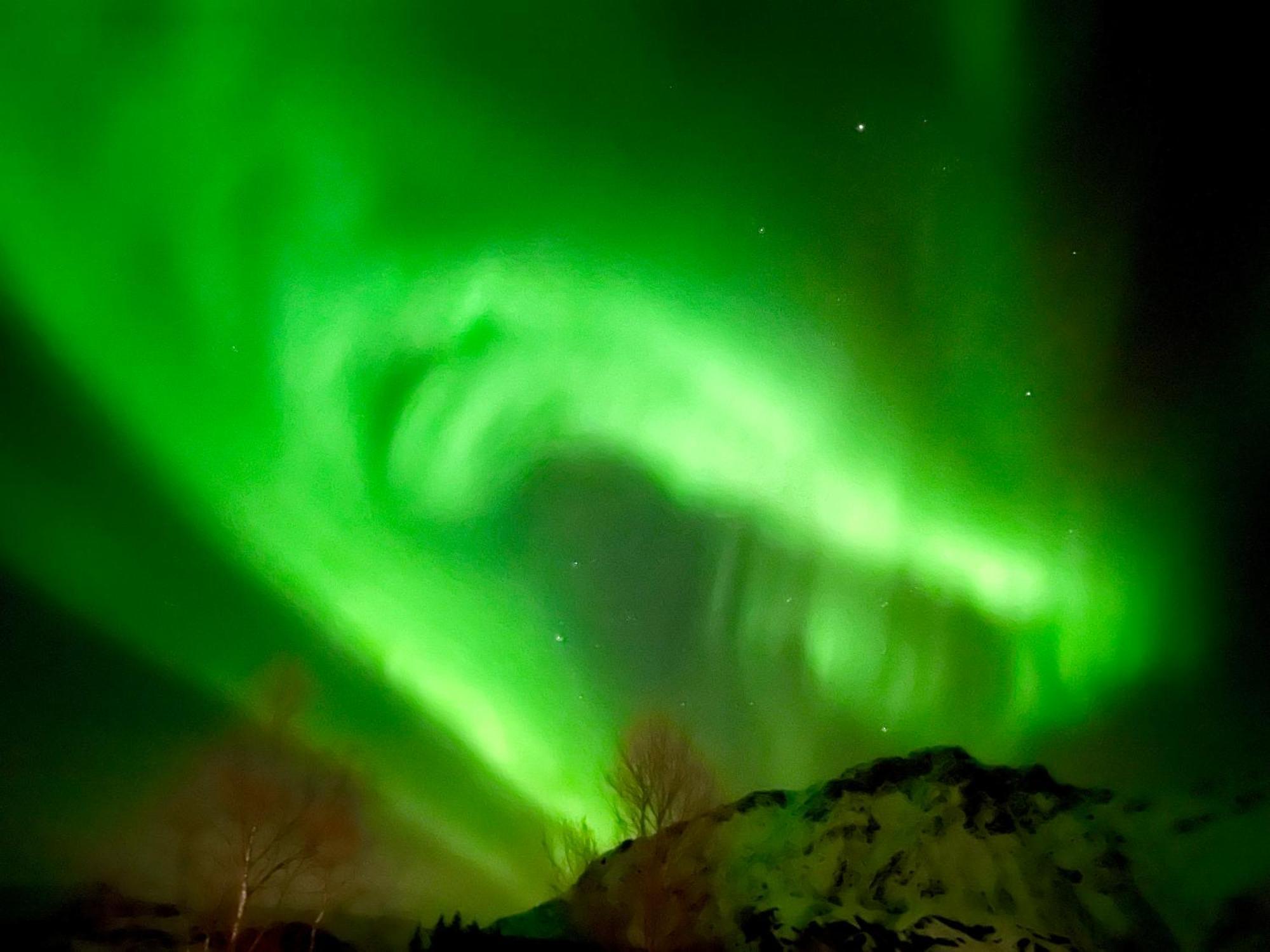 Lofoten Glampingdome Myrland Esterno foto