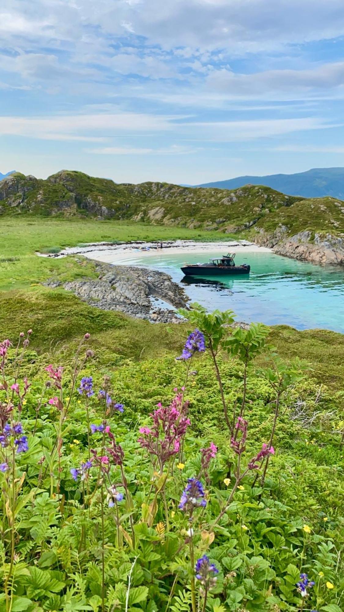 Lofoten Glampingdome Myrland Esterno foto
